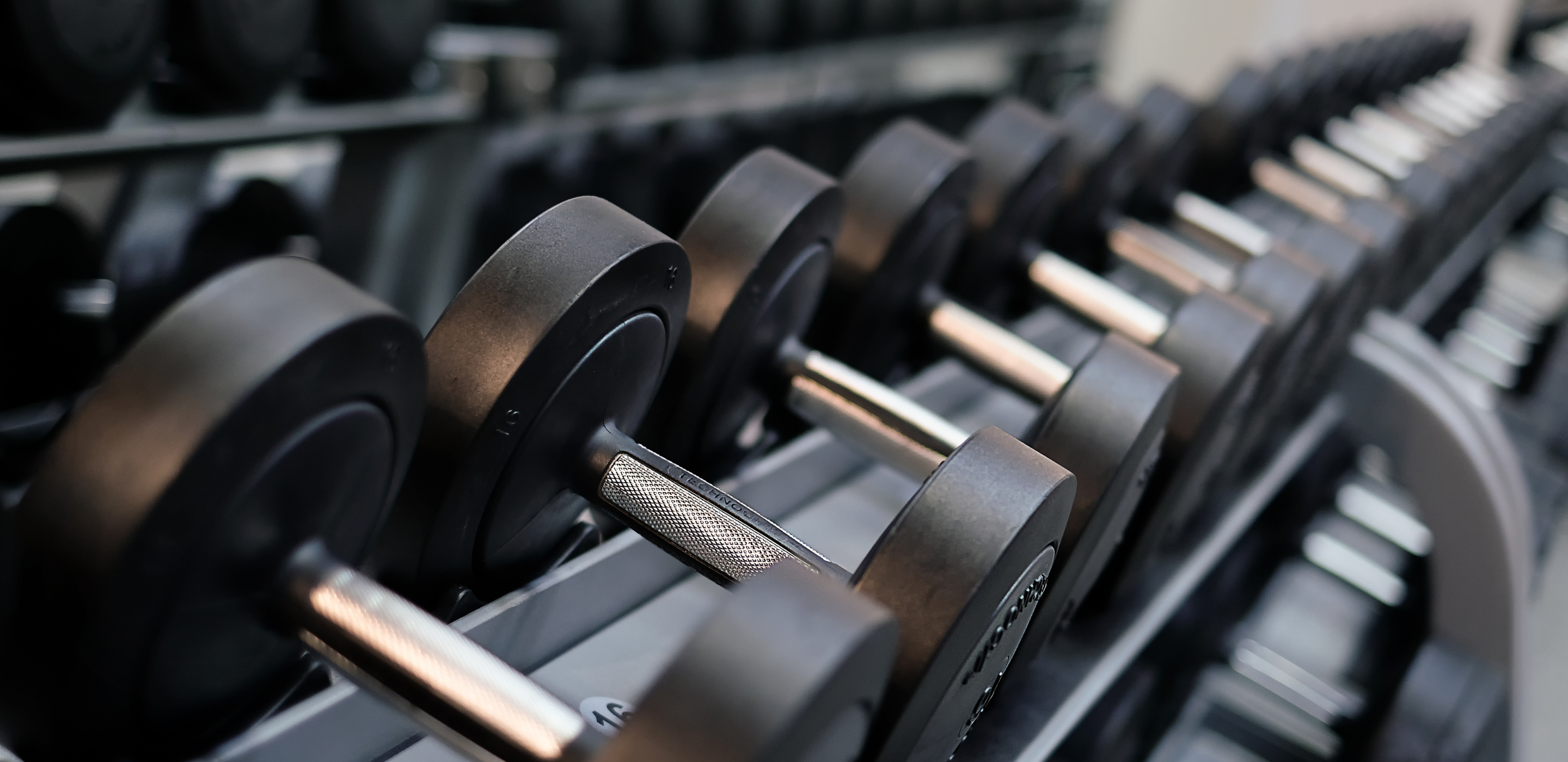 Black Dumble Rack in the gym.