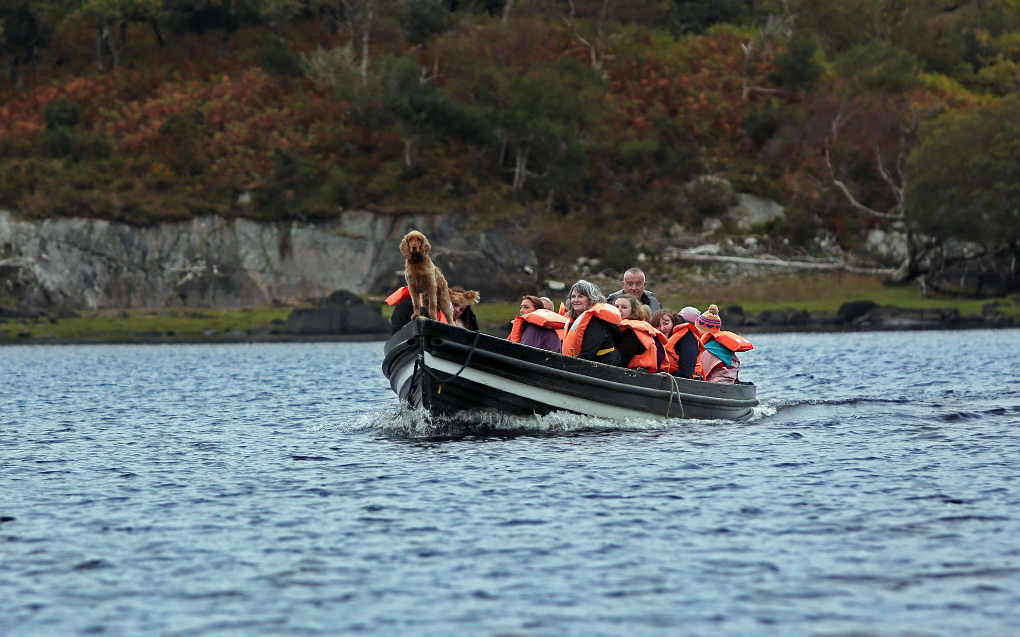 Boat Tour on Lake Leane