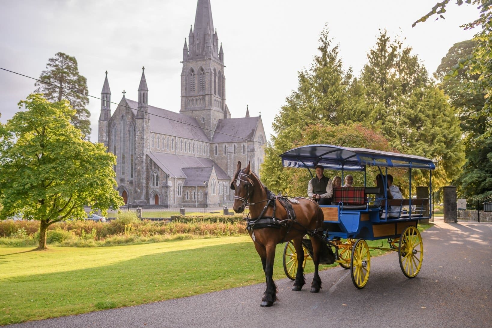 Guests experiencing the horse carriage ride in Killarney