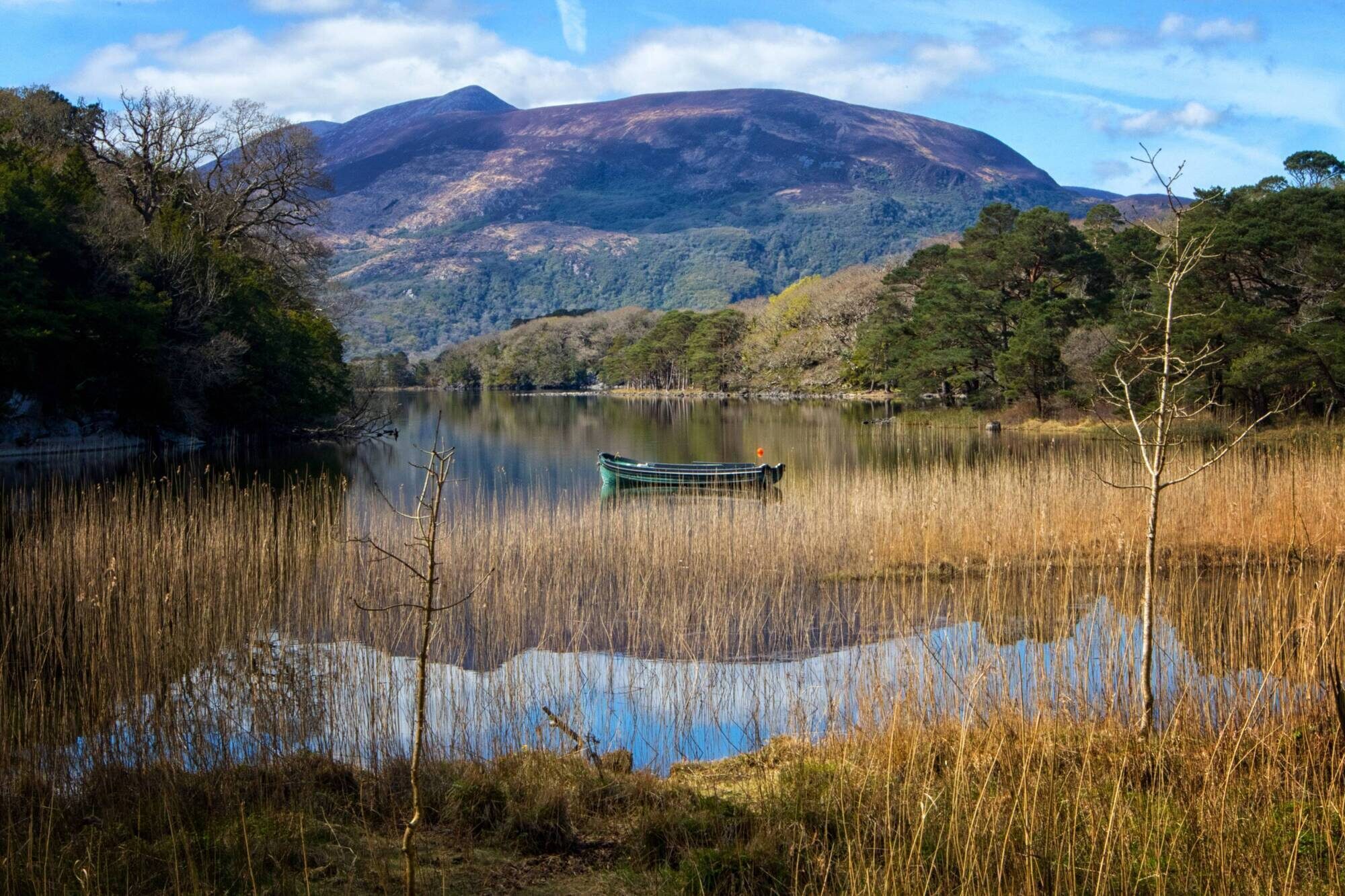 A beautiful view of The Killarney Park.