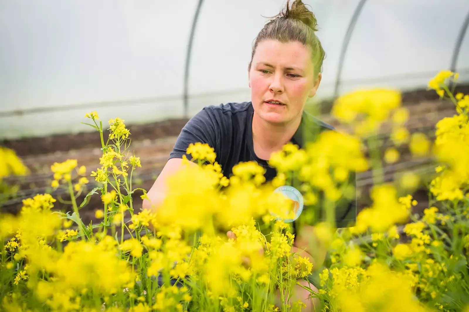 A lady seen working in the farm.