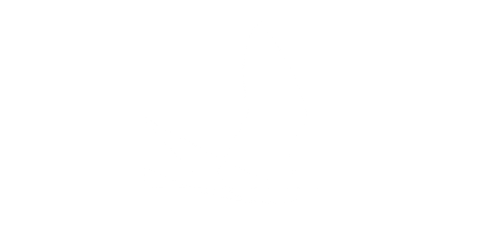 Peregrine Illustration