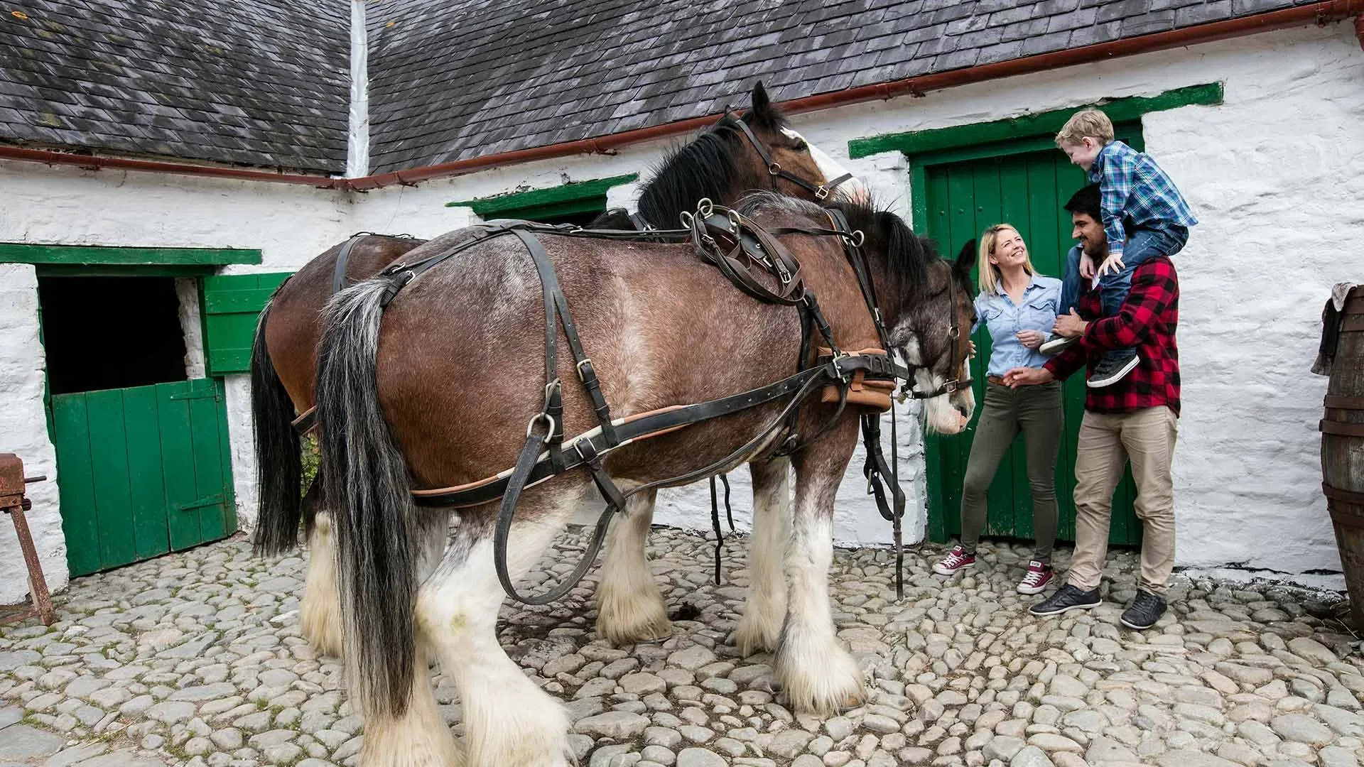 A wholesome sight of Muckross Farm life and owning horses.