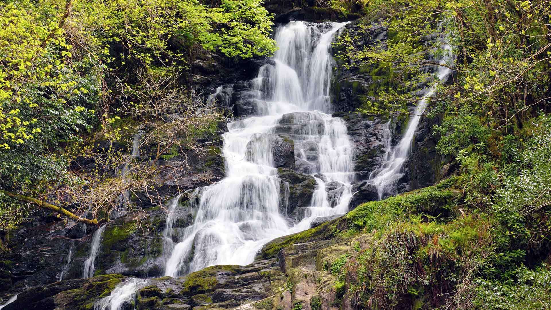 A scenic view of Torc Waterfall.