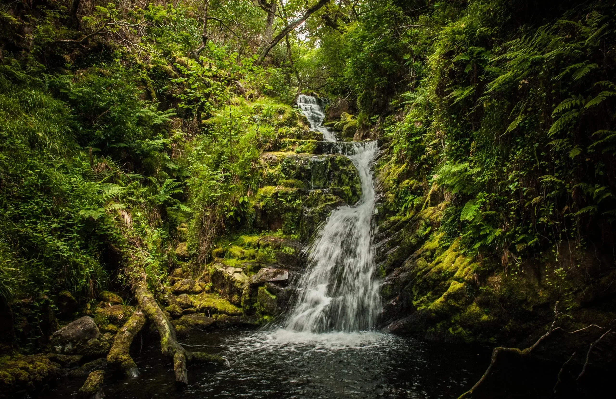 A scenic view of Torc Waterfall in Killarney.